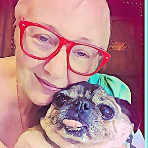 Meet your Posher, Maitri